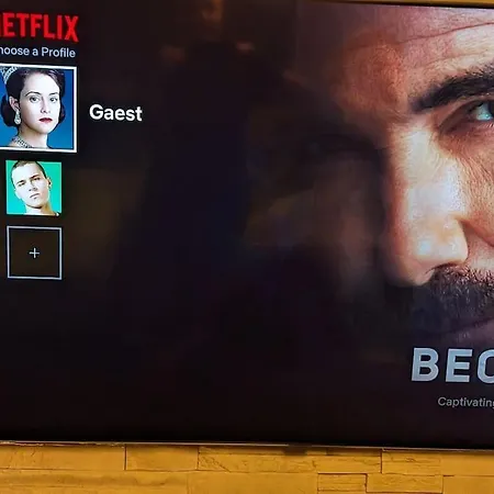 Quit And Designer Loft With Elevator *